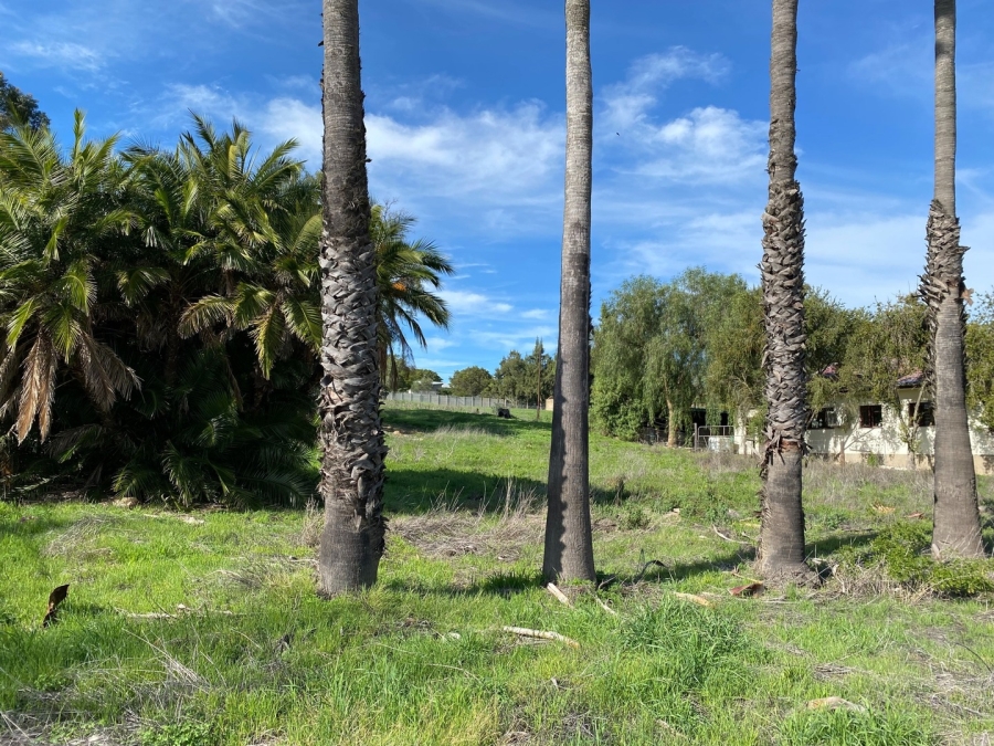 0 Bedroom Property for Sale in Hopefield Western Cape